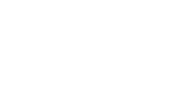 THUNDER-ZEBRA-sub